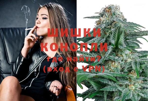 крисы Заводоуковск