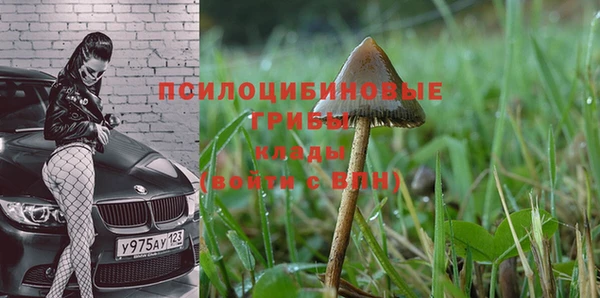 твердый Зеленодольск
