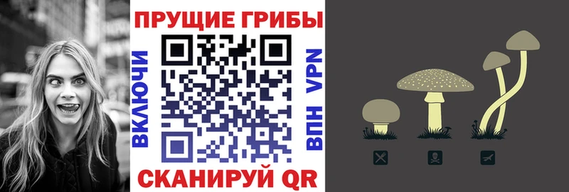 Псилоцибиновые грибы ЛСД  Купить где  Боготол 
