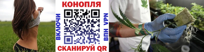 Купить где  Боготол  Марихуана White Widow 
